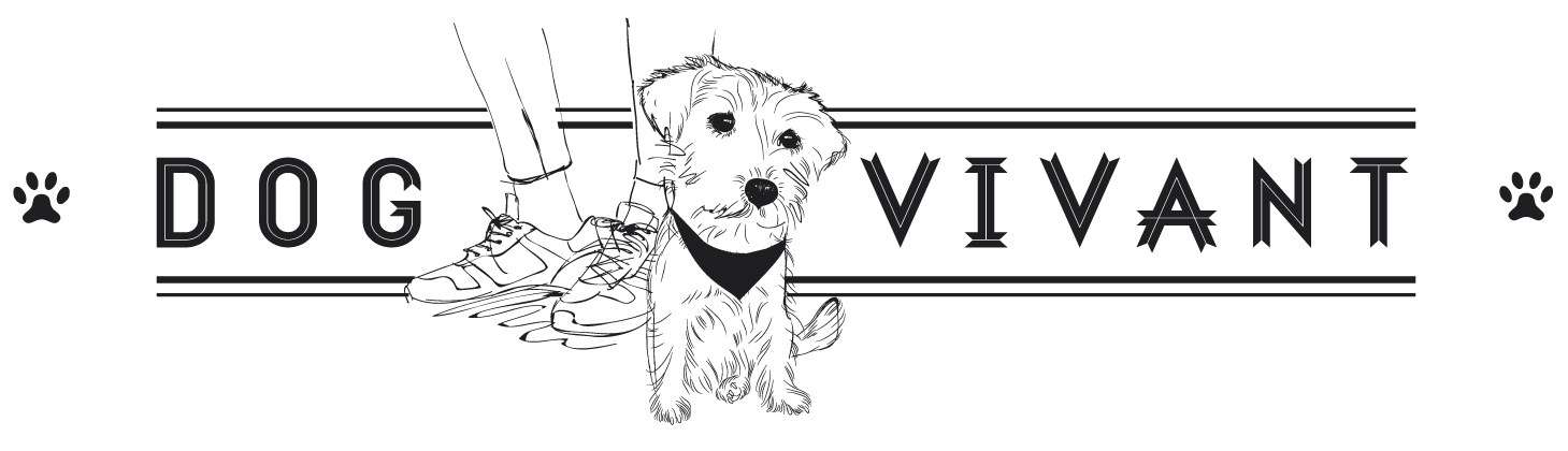 logo-dogvivant